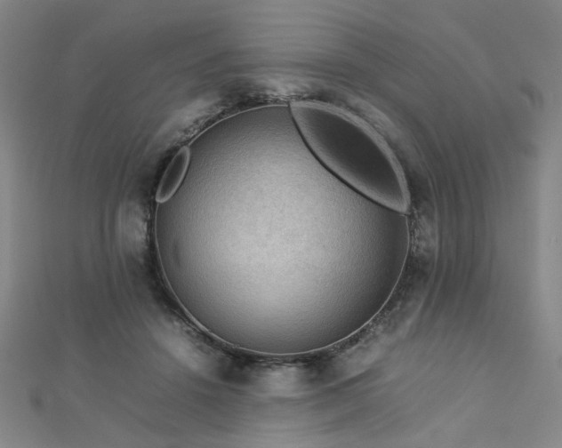 X0000112770456200908201511
