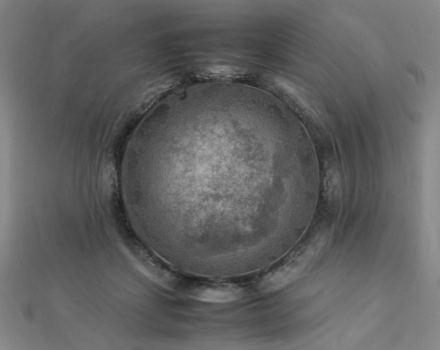 X0000112770459200908201511