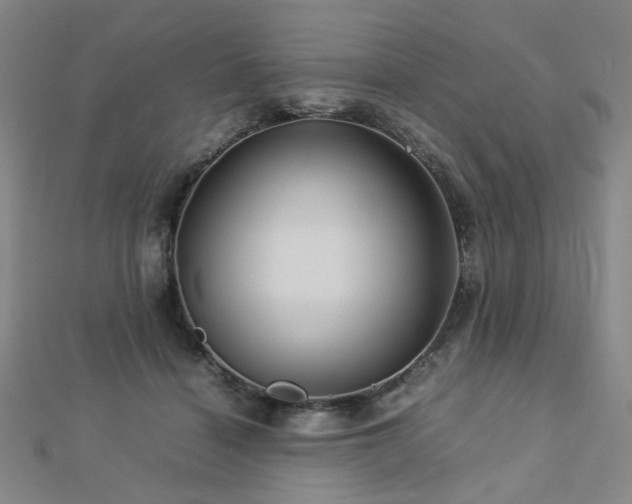 X0000112770460200908201511