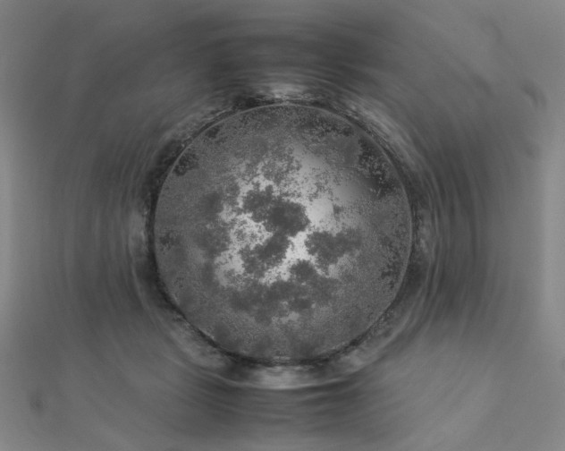 X0000112770461200908201511