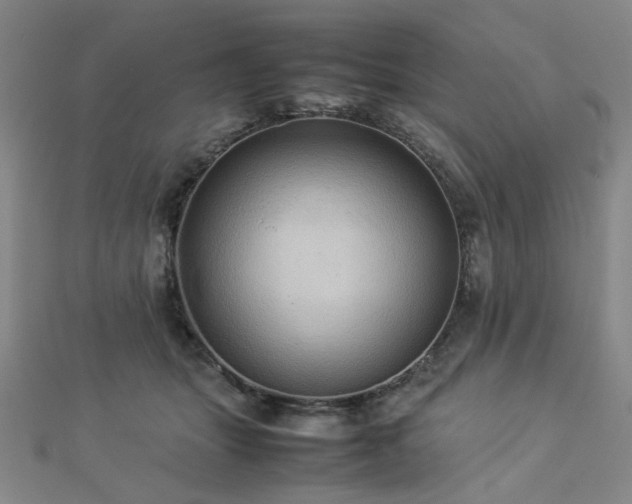 X0000112770463200908201511