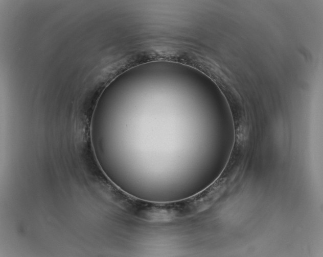 X0000112770464200908201511