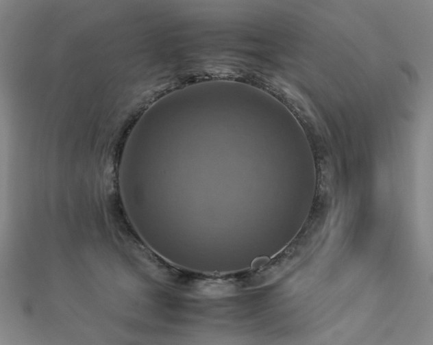 X0000112770465200908201511