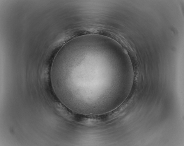 X0000112770466200908201511