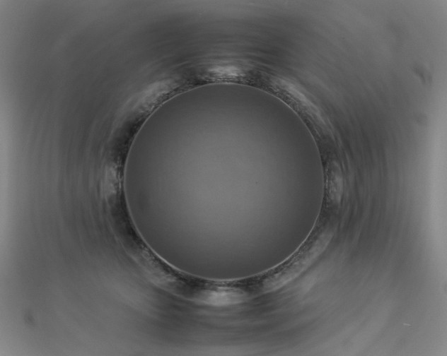 X0000112770467200908201511