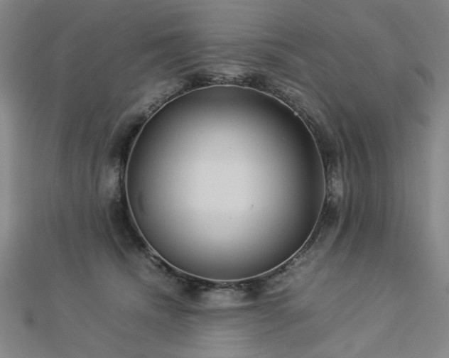 X0000112770468200908201511