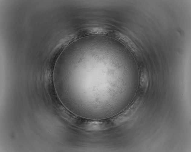 X0000112770473200908201511