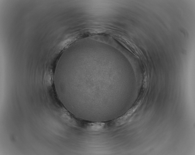 X0000112770474200908201511