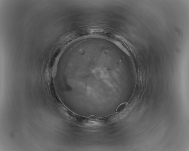 X0000112770475200908201511
