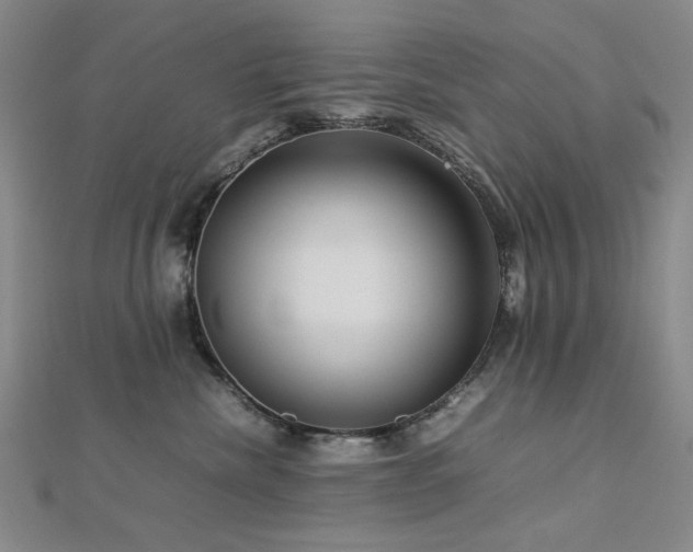 X0000112770476200908201511