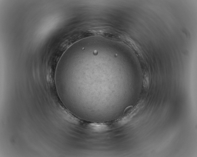 X0000112770477200908201511
