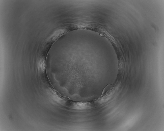X0000112770479200908201511