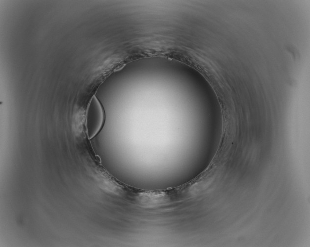 X0000112770480200908201511