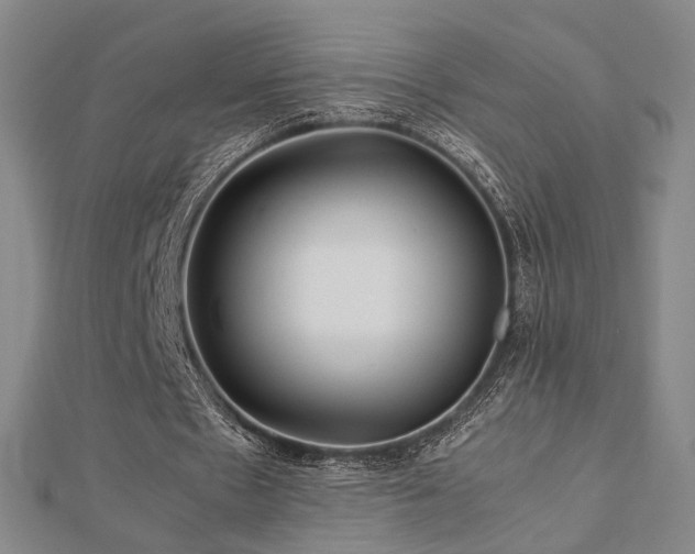 X0000112770481200908201511