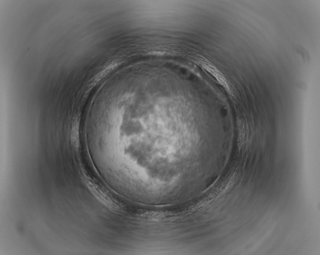 X0000112770482200908201511