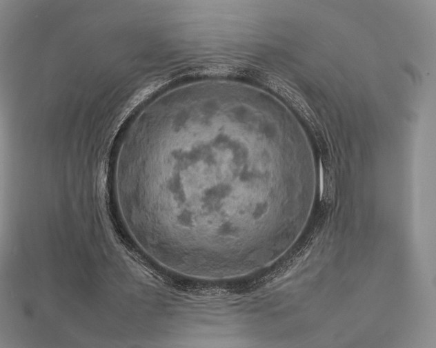 X0000112770483200908201511