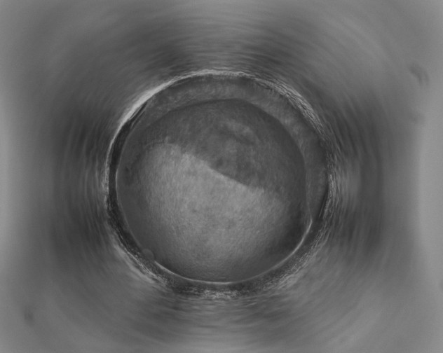 X0000112770484200908201511