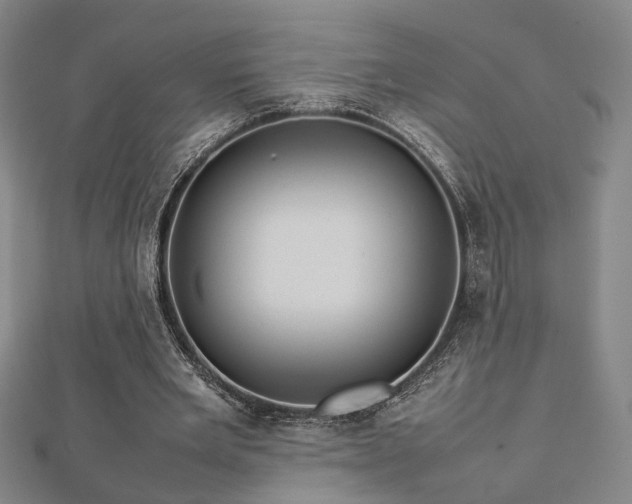 X0000112770485200908201511