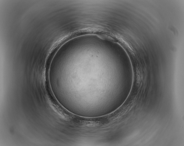 X0000112770486200908201511