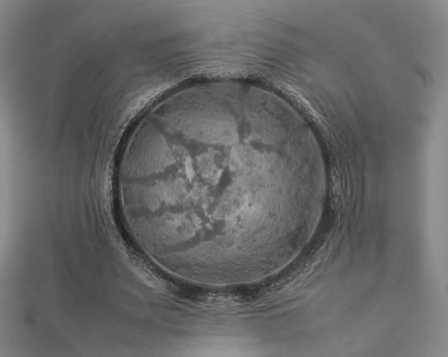X0000112770487200908201511