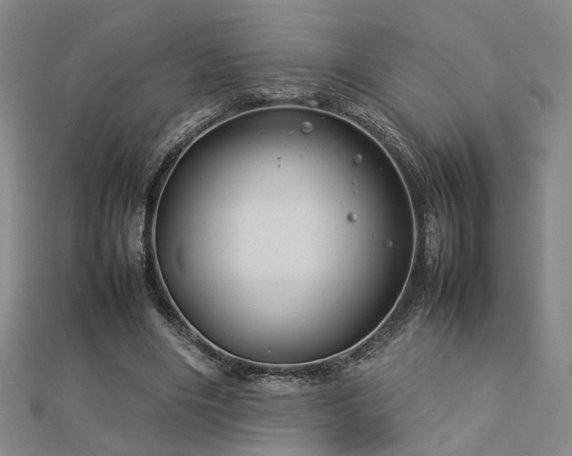 X0000112770490200908201511
