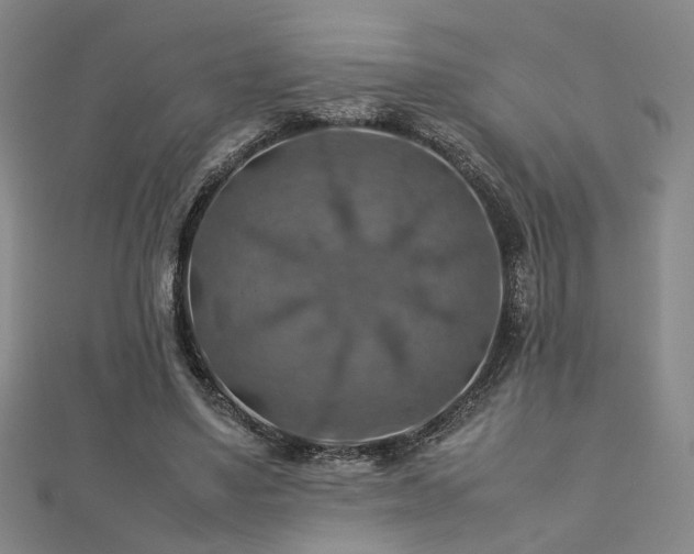 X0000112770491200908201511