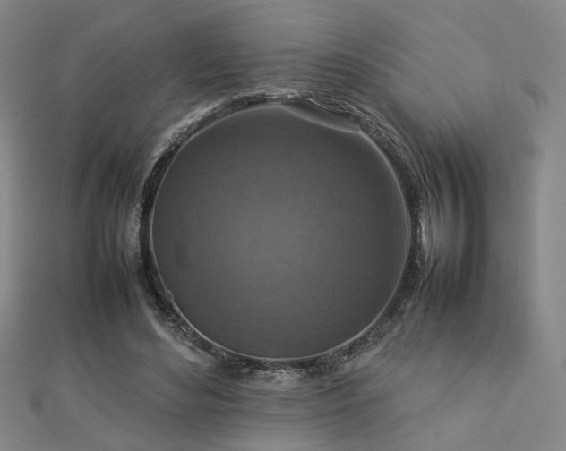 X0000112770492200908201511
