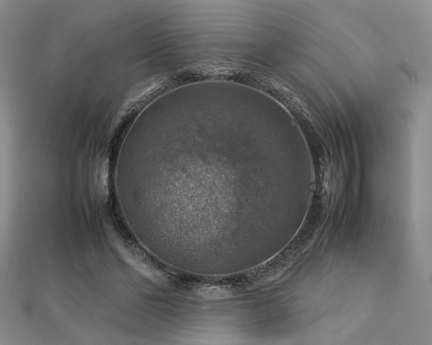 X0000112770494200908201511