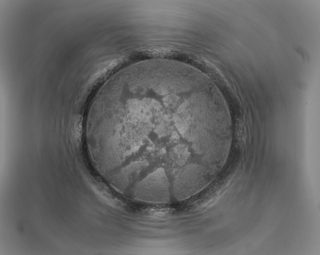 X0000112770495200908201511