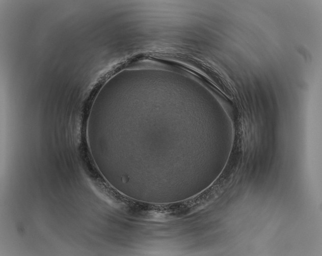 X0000112770496200908201511