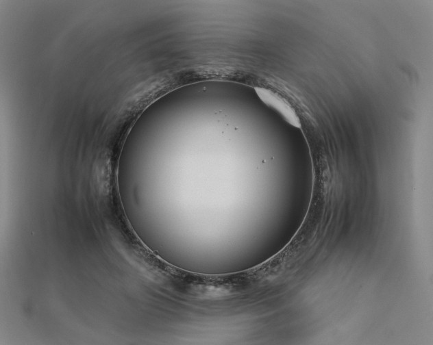 X0000112770498200908201511