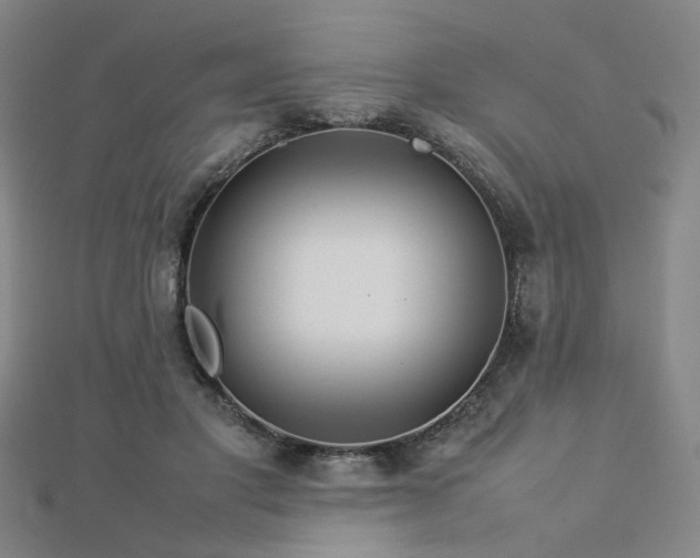 X0000112770501200908201511
