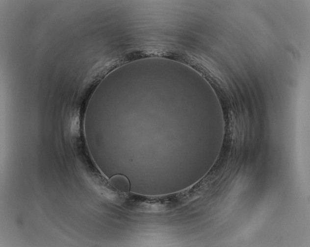 X0000112770502200908201511