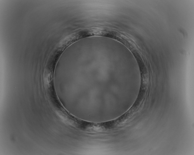 X0000112770503200908201511