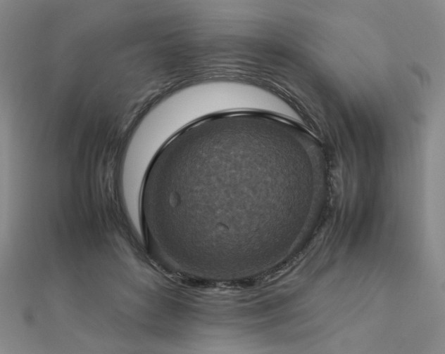 X0000112770504200908201511