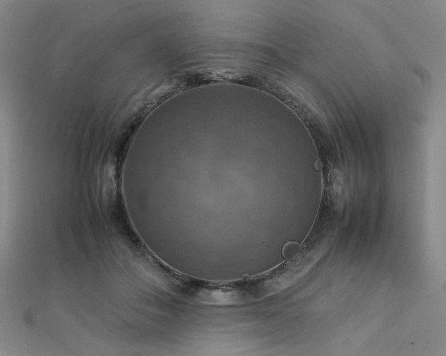X0000112770506200908201511