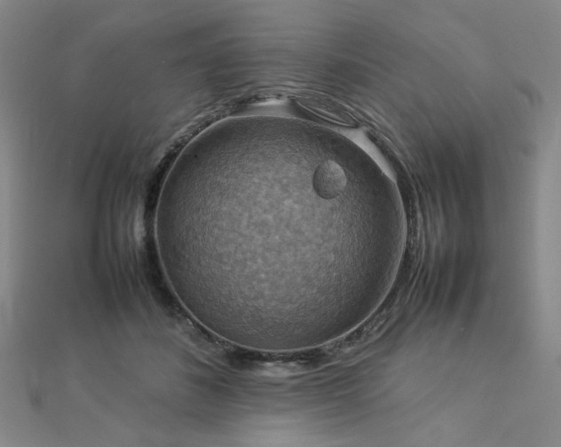 X0000112770508200908201510