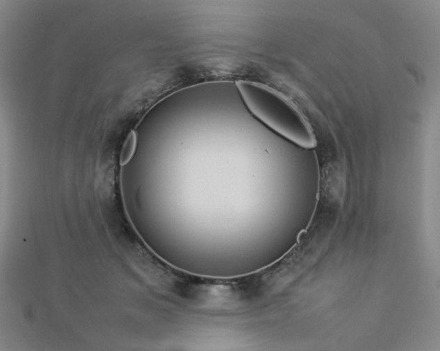 X0000112770509200908201510