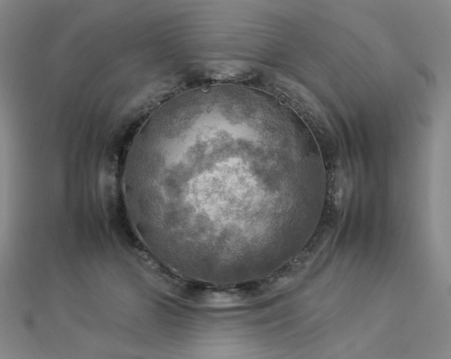 X0000112770510200908201510