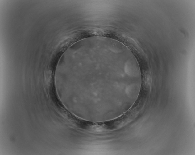 X0000112770511200908201510