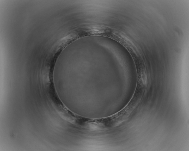 X0000112770512200908201510