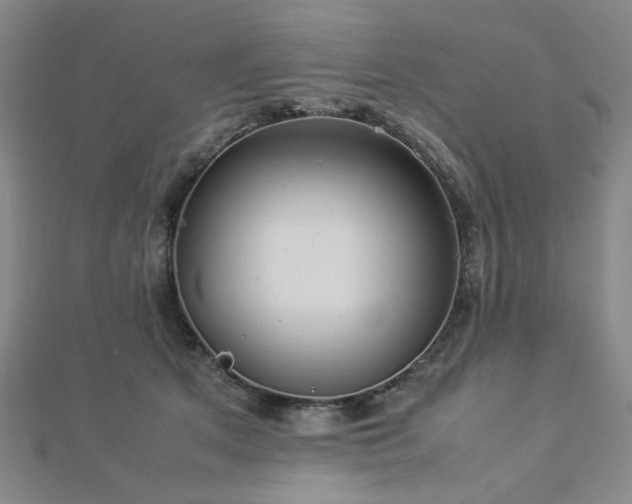 X0000112770513200908201510