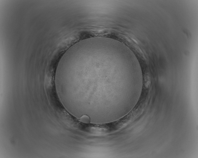 X0000112770515200908201510