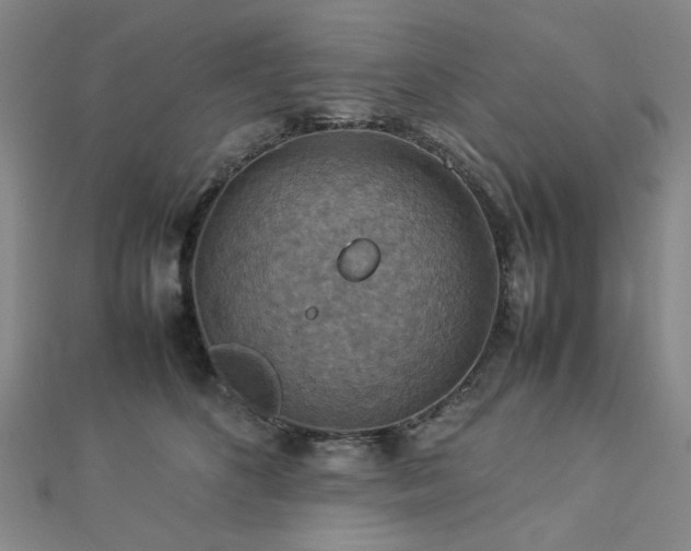 X0000112770516200908201510