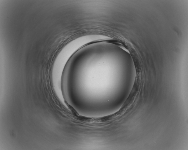 X0000112770517200908201510
