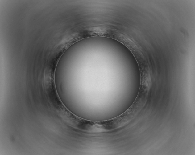 X0000112770518200908201510