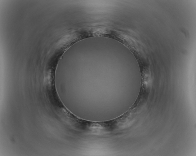 X0000112770519200908201510