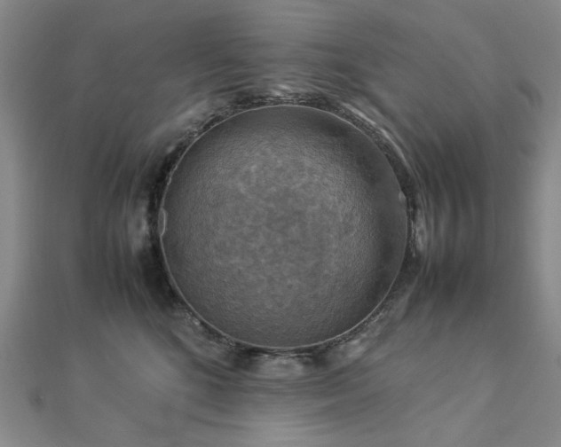 X0000112770520200908201510