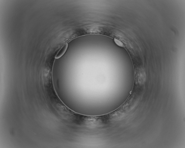 X0000112770521200908201510