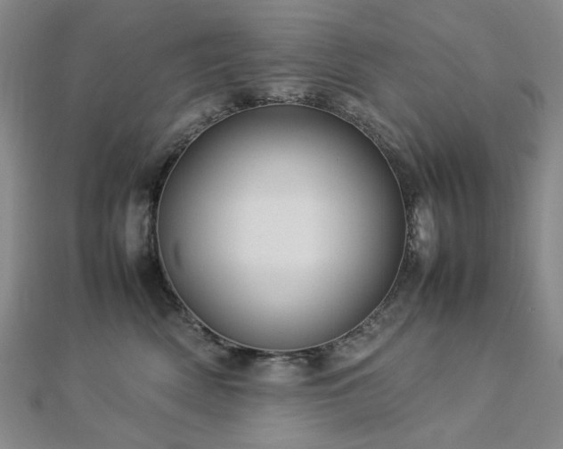 X0000112770522200908201510